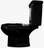 VASO-SANITARIO-COM-CAIXA-ACOPLADA-LUZARTE-ANTURIUS-ACIONAMENTO-DUPLO-PRETO-3-6-LITROS