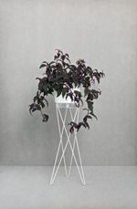 TRIPE-PARA-VASO-AUTOIRRIGAVEL-RAIZ-NUMERO-4-BRANCO-60CM
