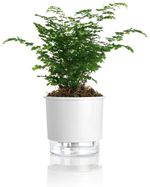 Vaso-Autoirrigavel-Numero-3-Gourmet-Raiz-Branco-16x143cm