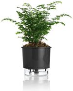 Vaso-Autoirrigavel-Numero-3-Gourmet-Raiz-Preto-16x143cm