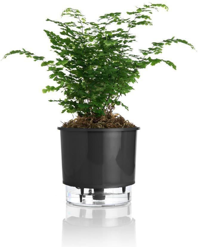 Vaso-Autoirrigavel-Numero-3-Gourmet-Raiz-Preto-16x143cm