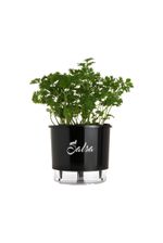 VASO-AUTOIRRIGAVEL-NUMERO-3-GOURMET-RAIZ-SALSA-PRETO-16X143CM