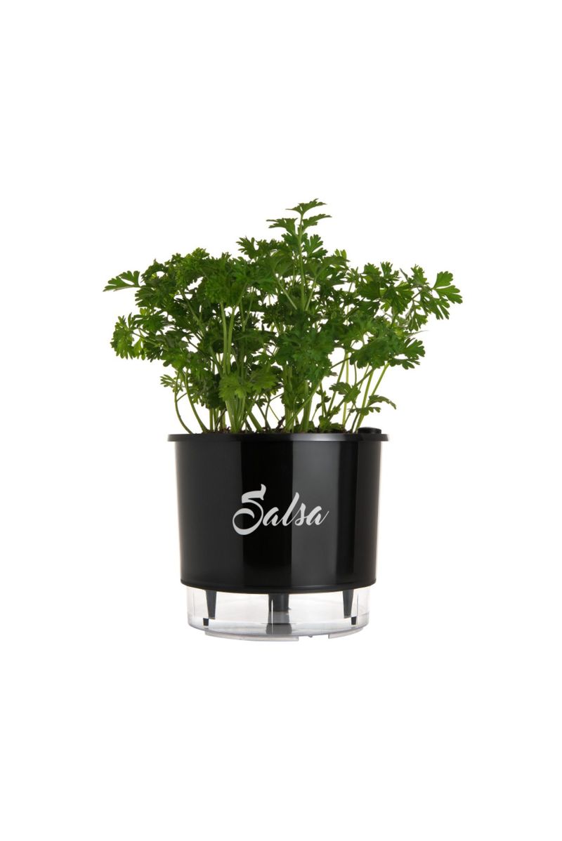 VASO-AUTOIRRIGAVEL-NUMERO-3-GOURMET-RAIZ-SALSA-PRETO-16X143CM