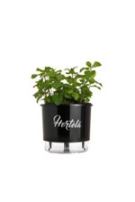 VASO-AUTOIRRIGAVEL-NUMERO-3-GOURMET-RAIZ-HORTELA-PRETO-16X143CM