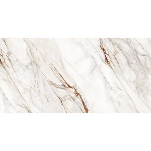 Cerâmica Bellacer 56x113cm 813000 Polido Retificado Classe A LC