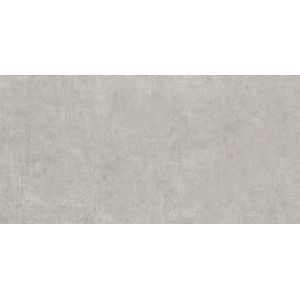 Porcelanato Portinari 58,4x117cm Luminosita SGR Polido Retificado Classe A