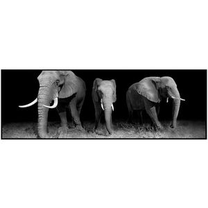 Quadro Decorativo E2g Design Barcelona Elefante Preto e Branco 30x90cm