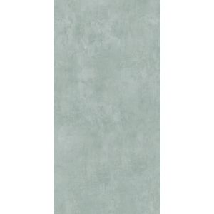 Porcelanato Ceral 42x87cm Absoluto Liso Retificado Classe A LD