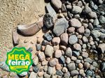 Quadro Decorativo Home Center Rocks Goods BR 40x60x4cm