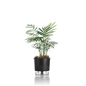 Vaso Autoirrigável Número 2 Gourmet Raiz Preto 12,6x11,4cm