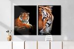 Quadro Decorativo Tigre 2 Illuminato Kit com 2 Unidades-ns_170511_1