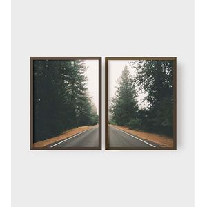 Quadro Decorativo Estrada na Floresta Illuminato Kit com 2 Unidades