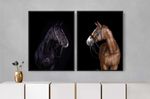 Quadro Decorativo Cavalos Illuminato Kit com 2 Unidades-ns_170509_1