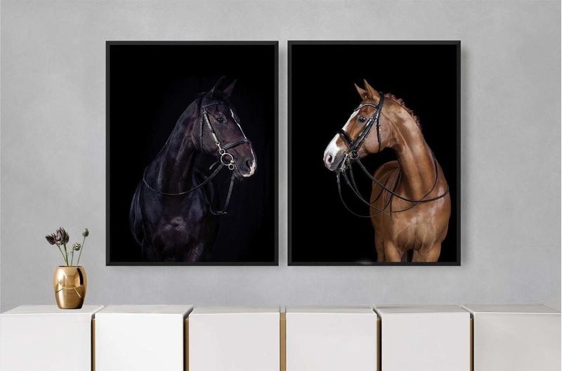 Quadro Decorativo Cavalos Illuminato Kit com 2 Unidades-ns_170509_1