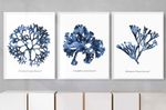 QUADRO-DECORATIVO-ILLUMINATO-CORAIS-AZUL-MARINHO-KIT-COM-3-PECAS