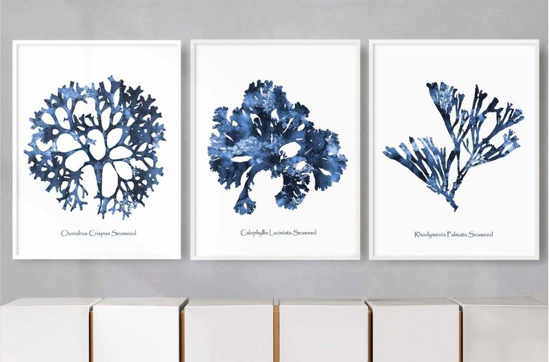 QUADRO-DECORATIVO-ILLUMINATO-CORAIS-AZUL-MARINHO-KIT-COM-3-PECAS