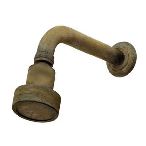 Ducha com Braço Articulado Fani de Parede Metal Rubi Dourado B51