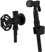 Ducha-Higienica-com-Derivacao-Fani-Para-Caixa-Acoplada-Living-Preto-1745BK700