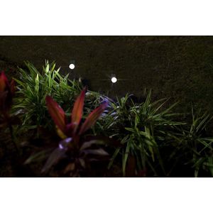 Espeto de Jardim Luminária Spot Solar 10Lm 6000K Abs Ecoforce 18580 Preto