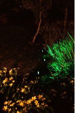 ESPETO-DE-JARDIM-LUMINARIA-SPOT-SOLAR-20LM-LUZ-VERDE-ABS-ECOFORCE-18544-PRETO
