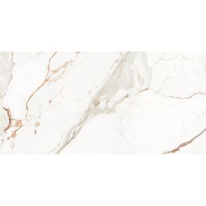 Porcelanato Damme 61x120cm PR12147 Capraia Polido Retificado Classe A LC