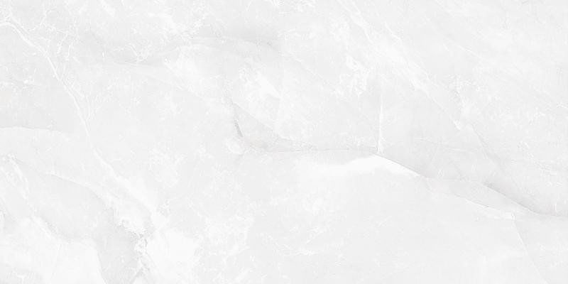 PORCELANATO-DAMME-61X120-PR12230-ONIX-BIANCO-POLIDO-RETIFICADO-A-LC-220