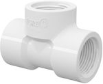 TE-ROSQUEAVEL-TIGRE-1-2-