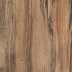 CERAMICA-FORMIGRES-61X61-ECONATURE-MARROM-HD-BRILHANTE-A-PEI-3-223