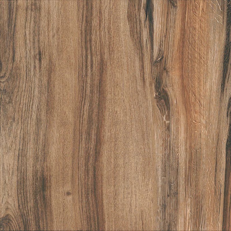 CERAMICA-FORMIGRES-61X61-ECONATURE-MARROM-HD-BRILHANTE-A-PEI-3-223