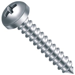 Parafuso Auto Atarraxante Philips Cabeça Panela 5,5x50mm