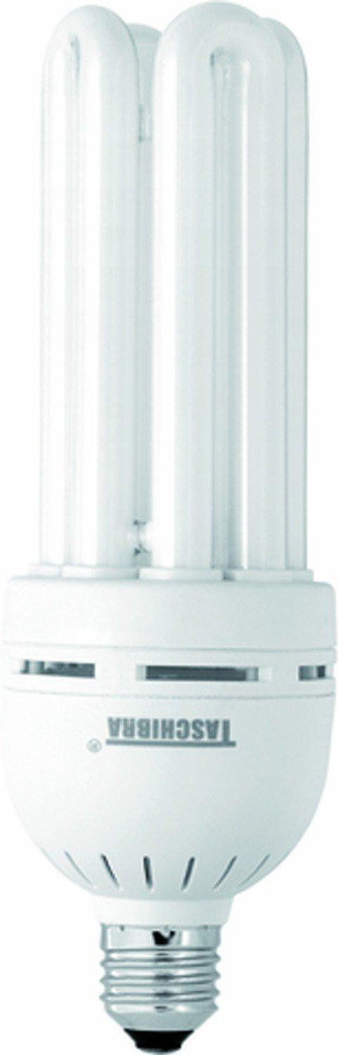Lâmpada Eletrônica Taschibra 40W 4U 220V