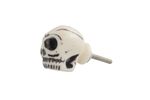 PUXADOR-PARA-PORTA-VENUS-CAVEIRA-BRANCO-4X35X35CM