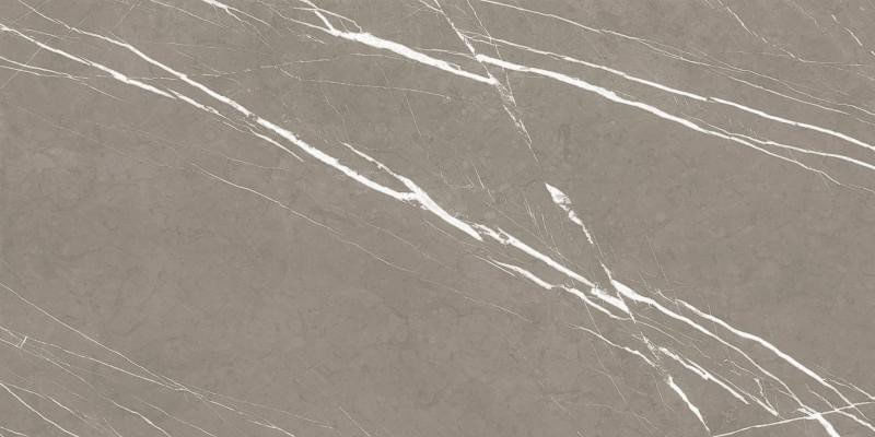 PORCELANATO-DAMME-61X120-PR12204-ARMANI-FENDI-POLIDO-RETIFICADO-A-LB-220