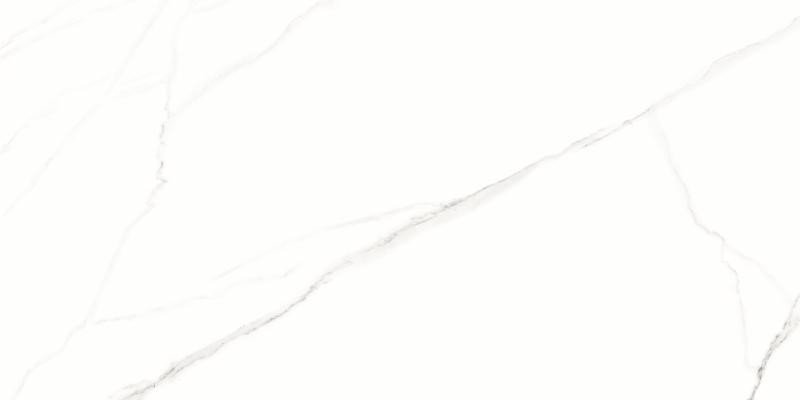 PORCELANATO-DAMME-61X120-PR12187-STATUARIO-POLIDO-RETIFICADO-A-LC-220