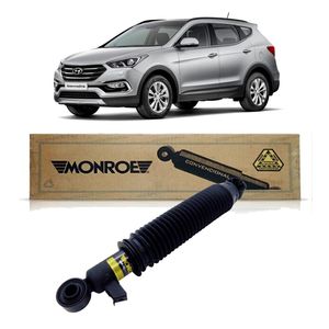 Amortecedor Traseiro Hyundai Tucson 2005 Direito