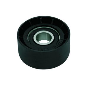 Polia Correia Alternador Renault Clio 1.6 16V 2001