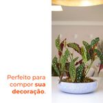 image-724c305383d04c4b97d59ca1e357a3ed