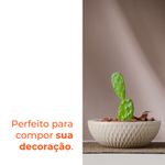 image-140652d9d9c2463f88196feeaef5141c
