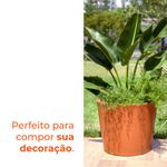 image-19eee88f67904daa818a1ca28ec88640