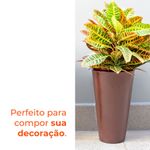 image-bb5df85afff446c0a08a290d6782d692