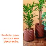 image-659812cd0a134818ae0910ac20e414bb