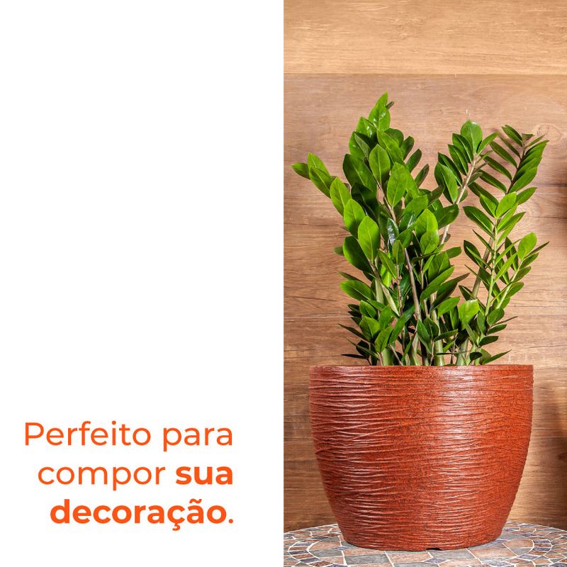 image-8db4f7ae0370470ab5125169b00fd792