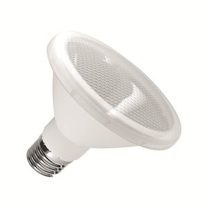Lâmpada LED Par30 10W Verde Luminatti Lm171 Bivolt