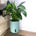 Vaso-Autoirrigavel-Decorativo-Brota-Decor-Verde-Sage
