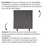 image-8c9a5b7c5f434d409af6b9a342b0649a