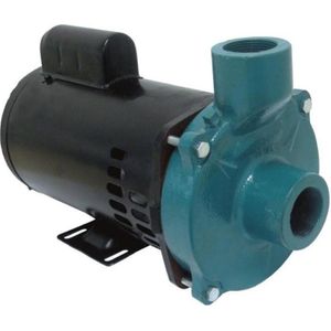 Motobomba Standard 3cv 60Hz 127/220V ECS-SA300M Eletroplas