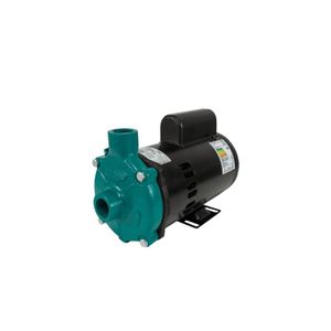 Motobomba Standard 1.5cv 60Hz 110/220V ECS-150ME Eletroplas
