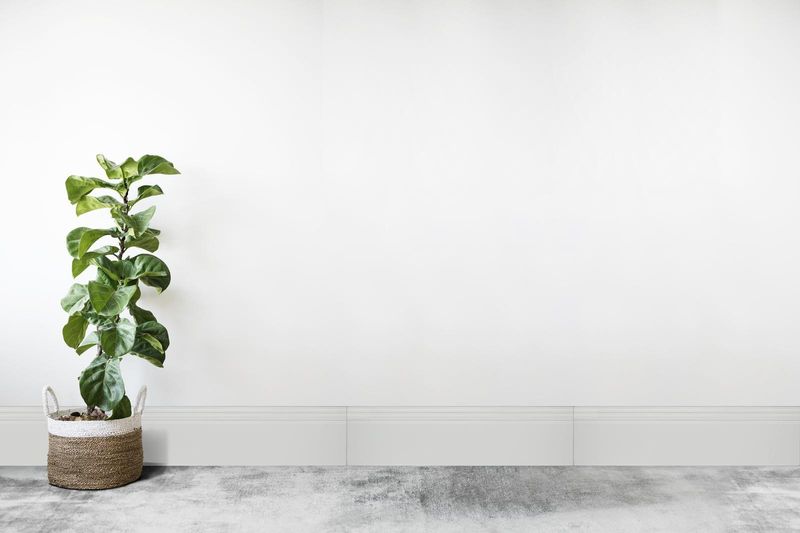 Rodape-de-Ceramica-Gabriella-RHDS1001-15x61cm-Branco
