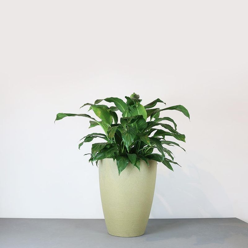 Vaso-de-Jardim-Vasart-Malta-Cone-Granito-Areia-25x32cm