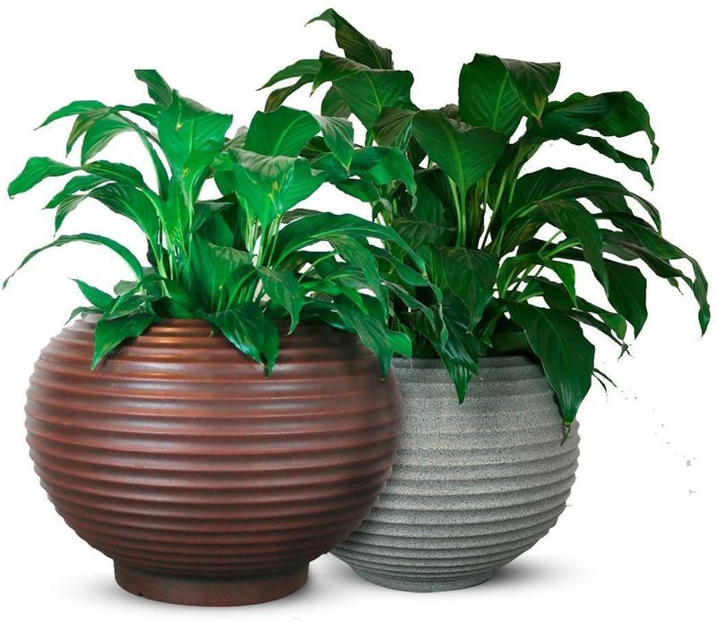 Vaso-de-Jardim-Bromelia-Vasart-Rusty-26x24cm